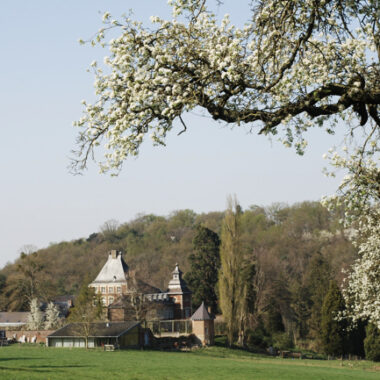 Deze afbeelding heeft een leeg alt-attribuut; de bestandsnaam is paviljoen-buiten.jpg